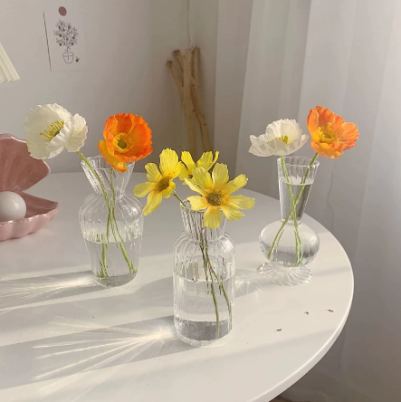 Transparent Glass Vases for Plant Bottle Flower Pot Nordic Creative Hydroponic